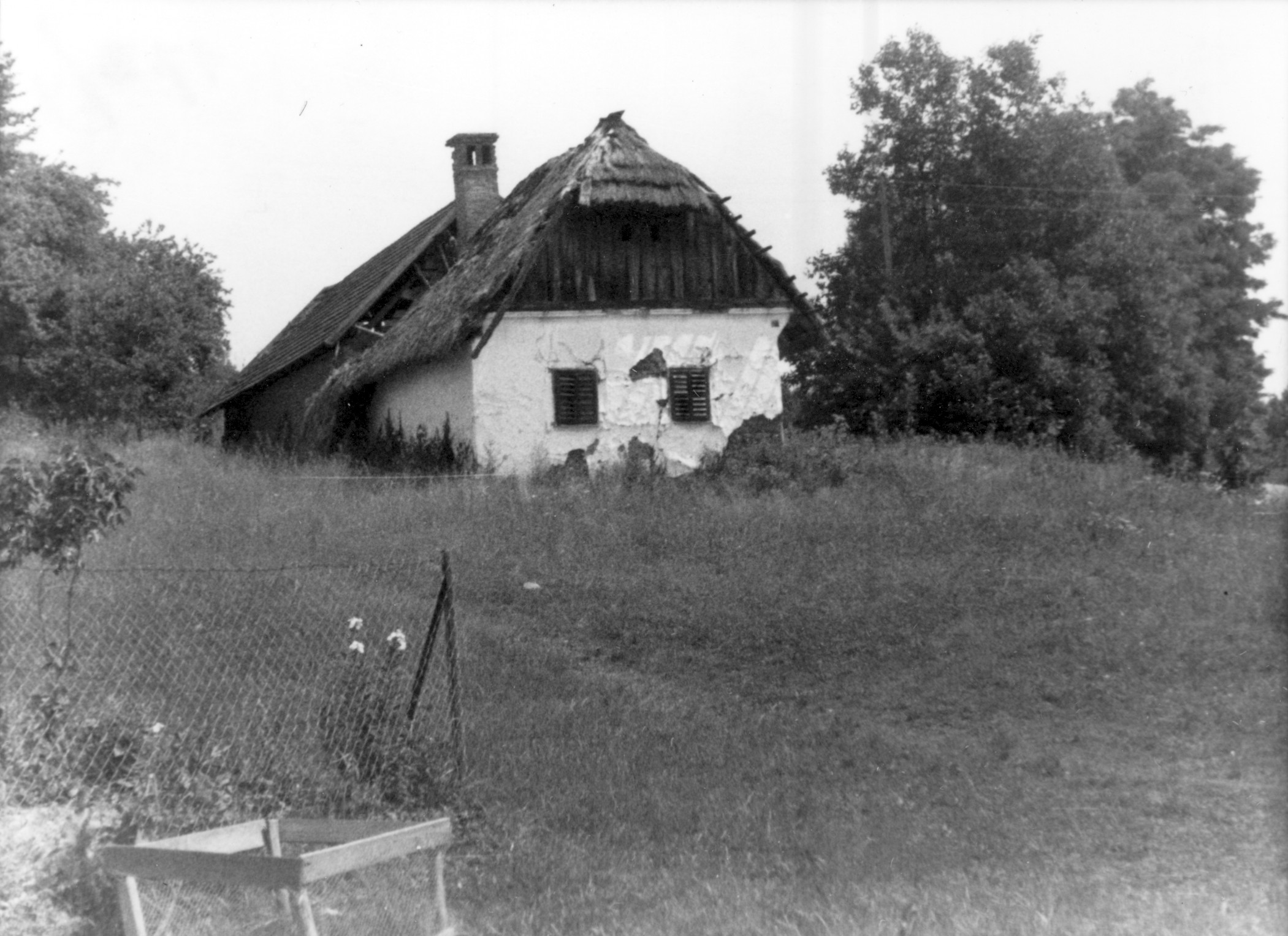 eika image